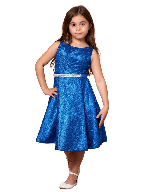 Little Girls Royal Blue Glitter Metallic Flower Girl Dress 2-6 - SophiasStyle.com